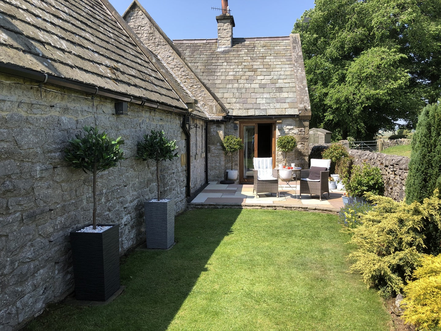 Artificial Bay Trees Natural Straight Trunk Topiary Bay Laurel Ball Tree