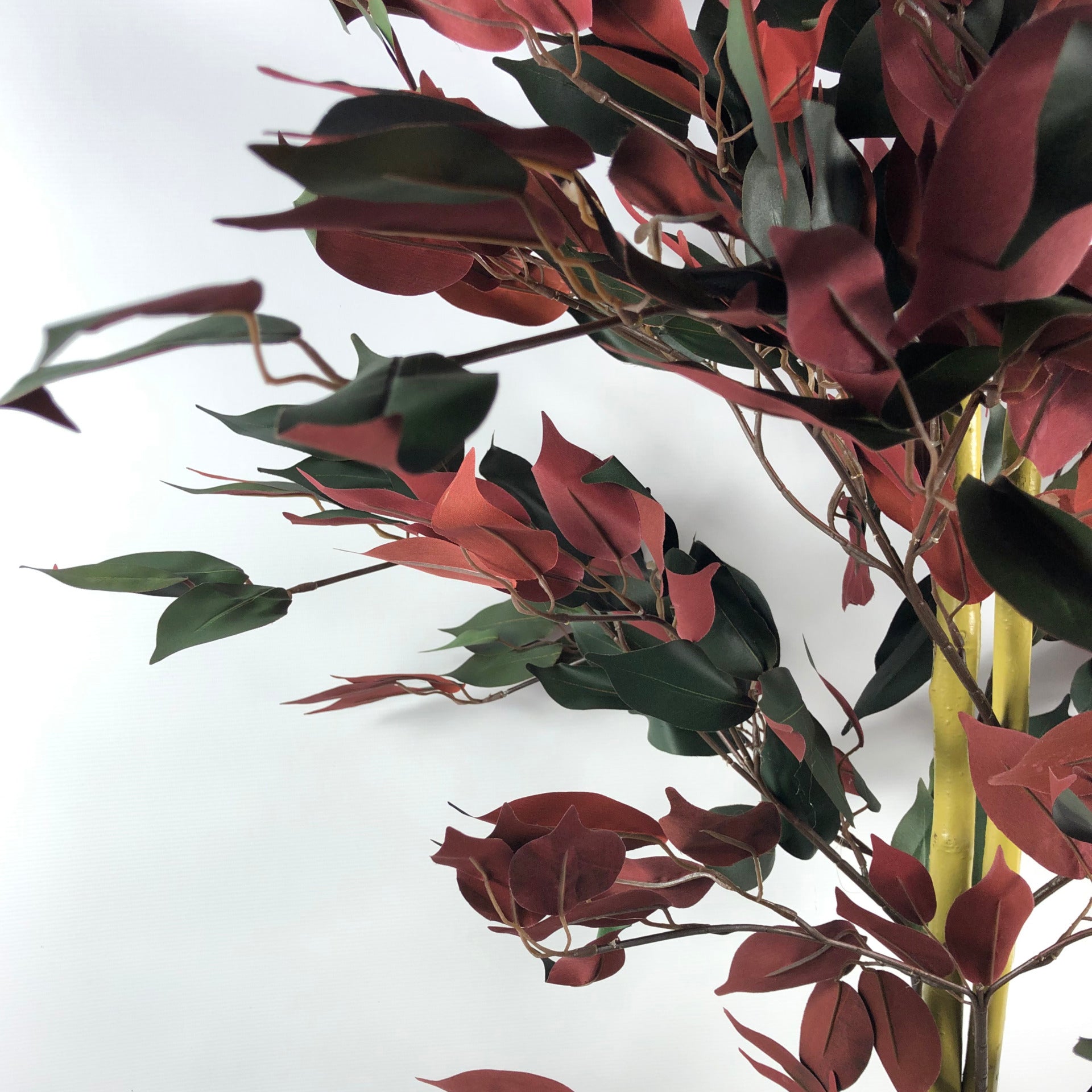 120cm (4ft) Artificial Capensia Red Ficus Tree Ficus Plant - Extra Large