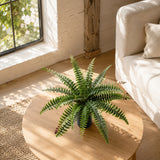 Artificial Boston Fern Plant - 60cm Boston Fern