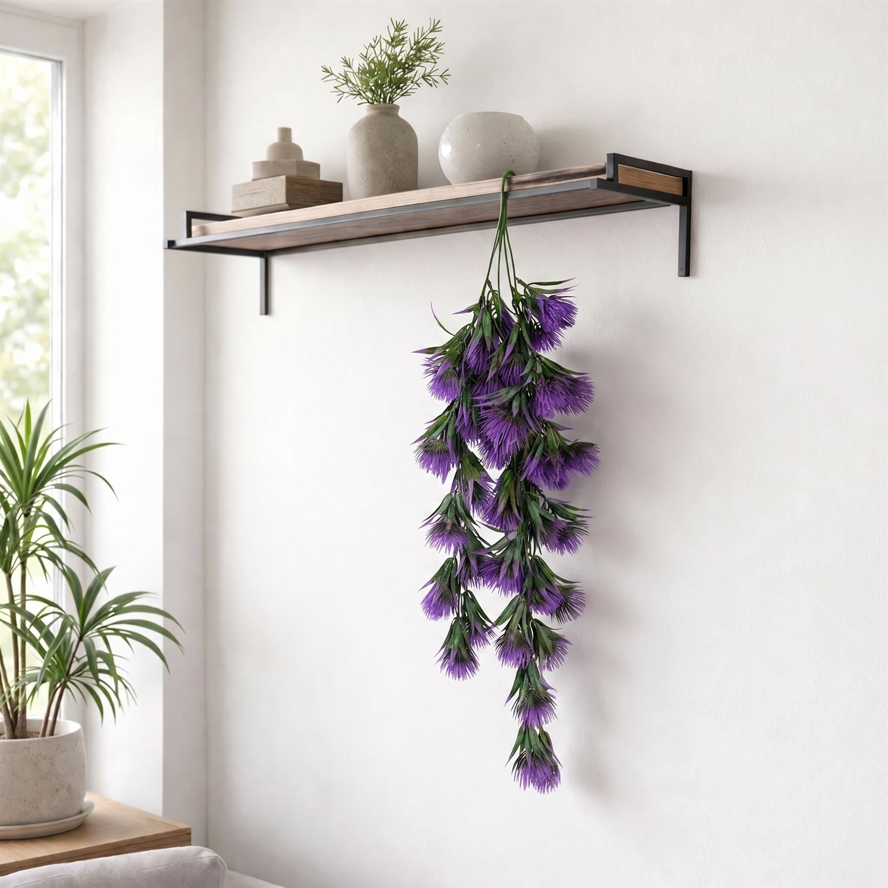 Purple thistle trailing hanging plant
