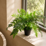 50cm Luxury Artificial Evergreen Fern Plant