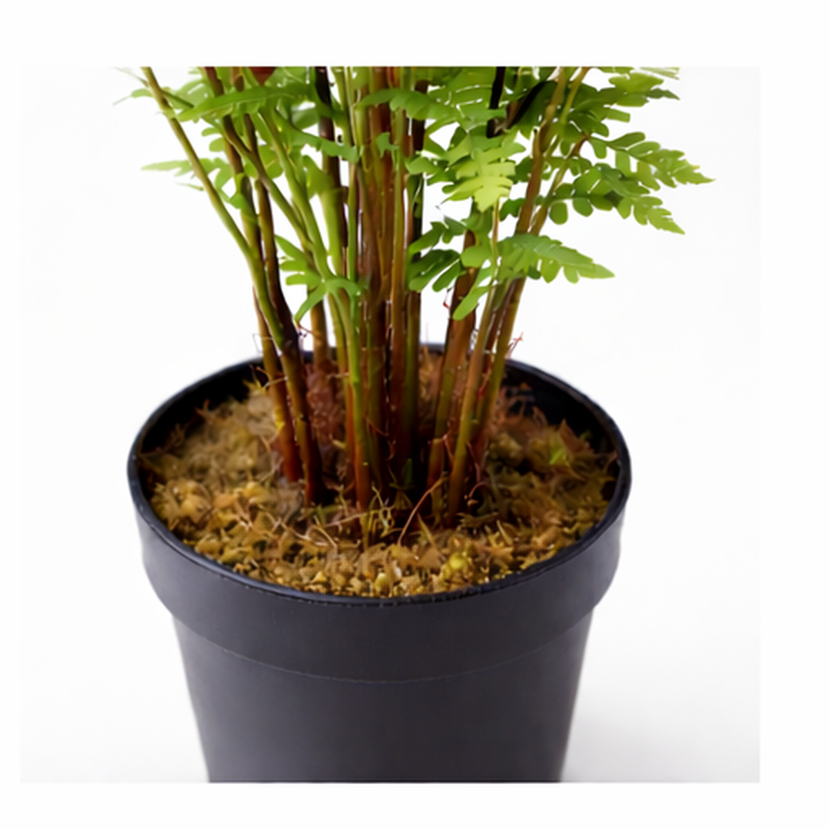 75cm Artificial Fern Plant