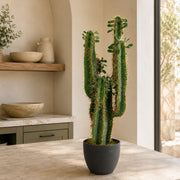 75cm Premium Artificial Cactus with pot