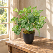 40cm Artificial Caladium Plant with pot