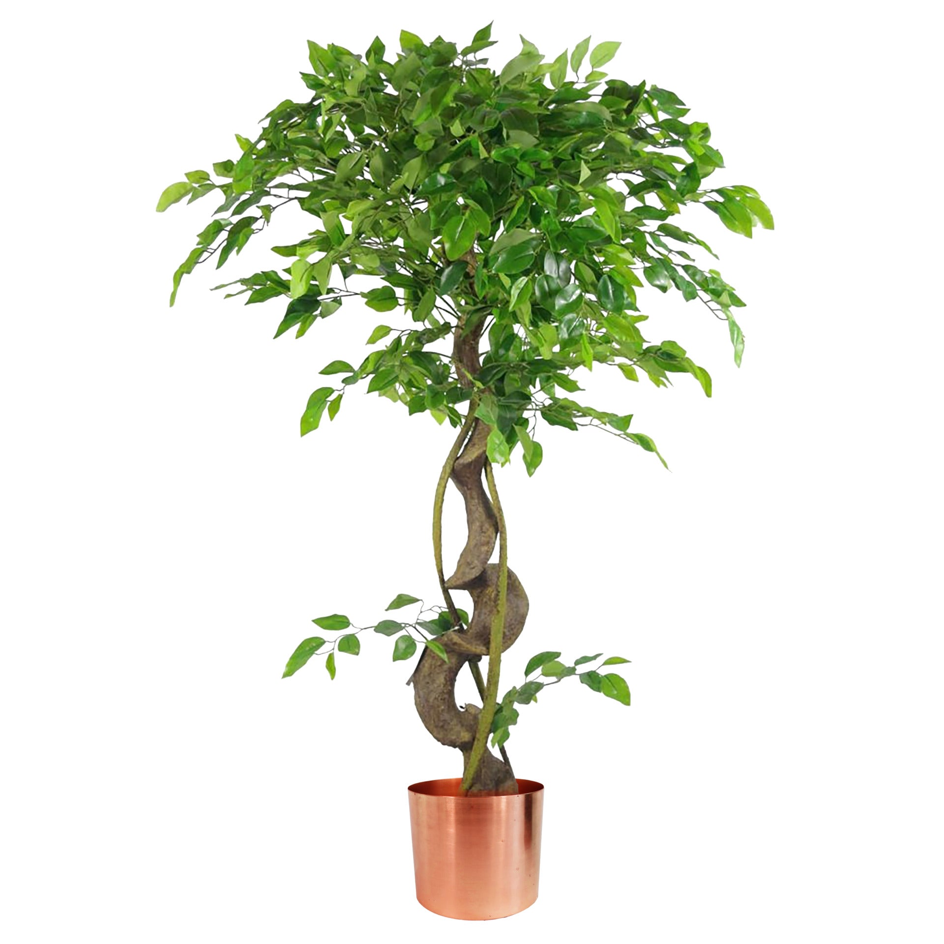 120cm Twisted Trunk Artificial Japanese Fruticosa Style Ficus Tree