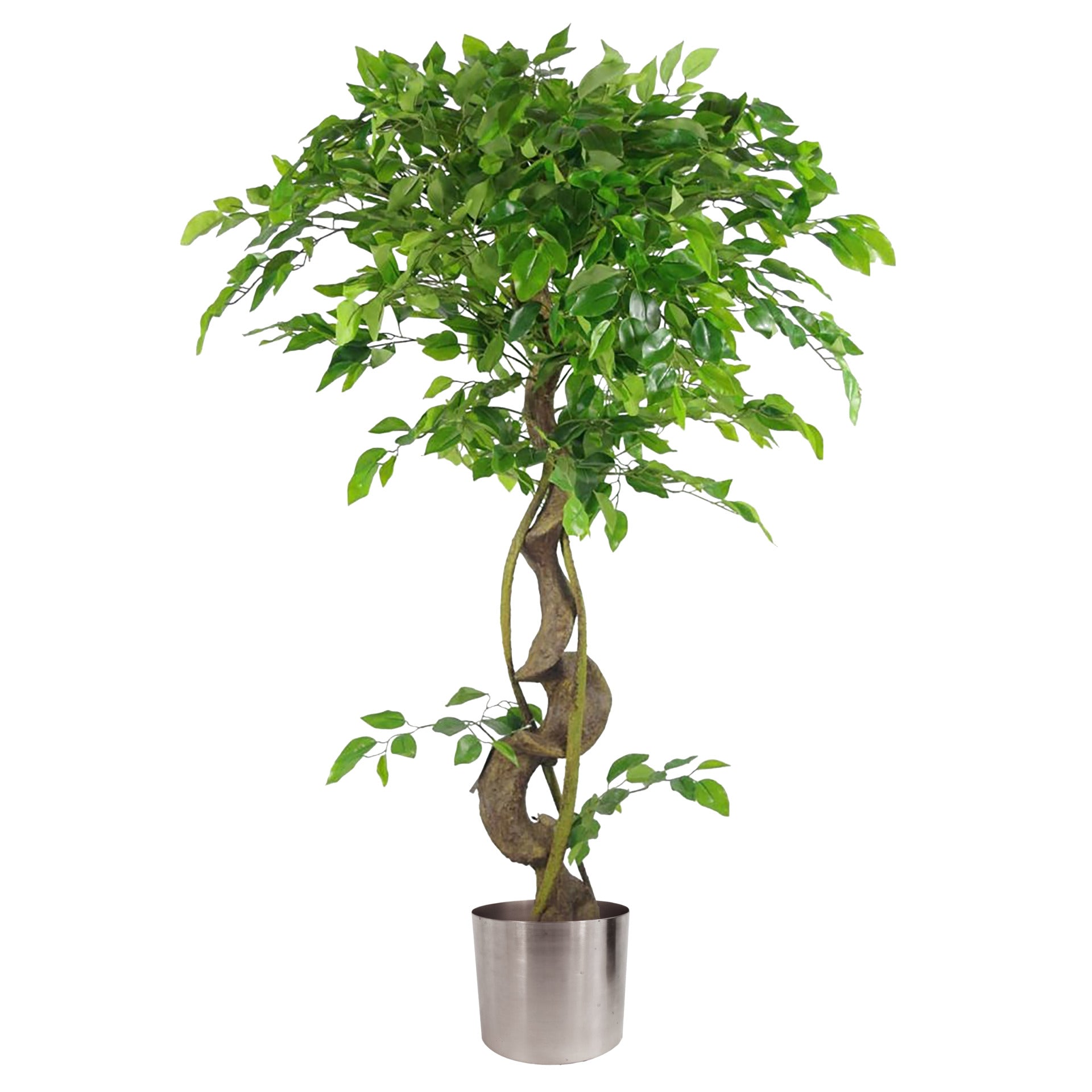 120cm Twisted Trunk Artificial Japanese Fruticosa Style Ficus Tree