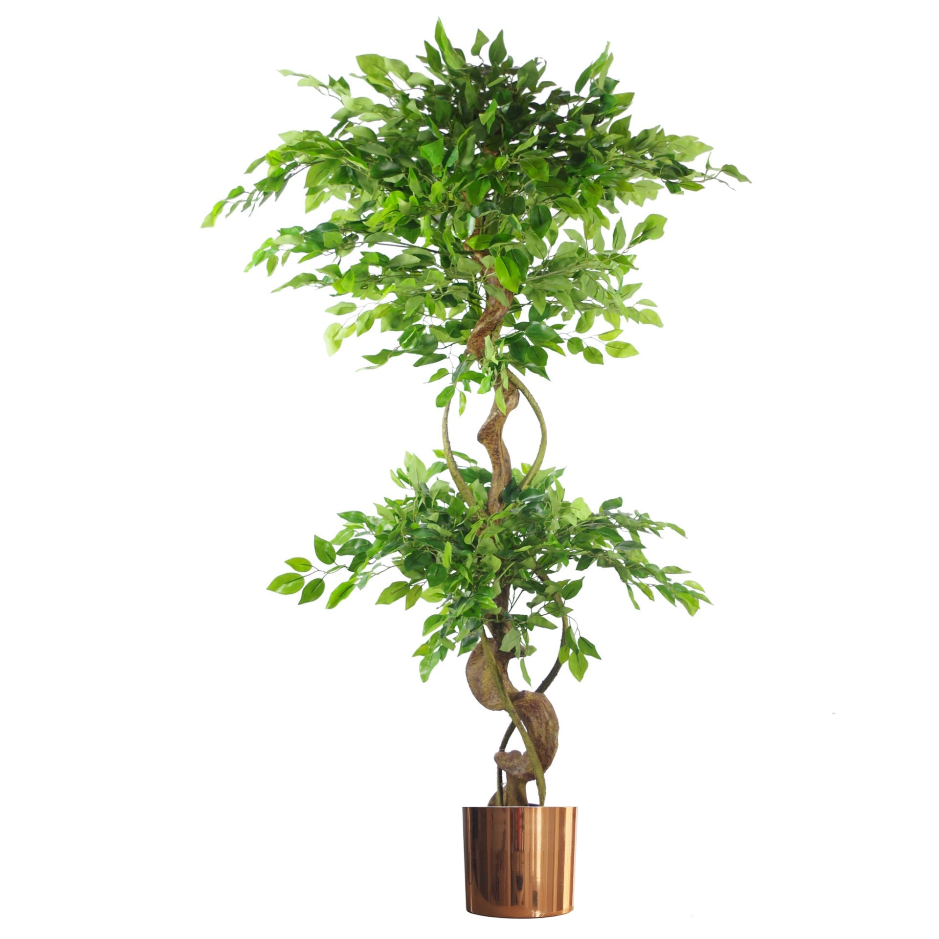 150cm Twisted Trunk Artificial Japanese Fruticosa Style Ficus Tree