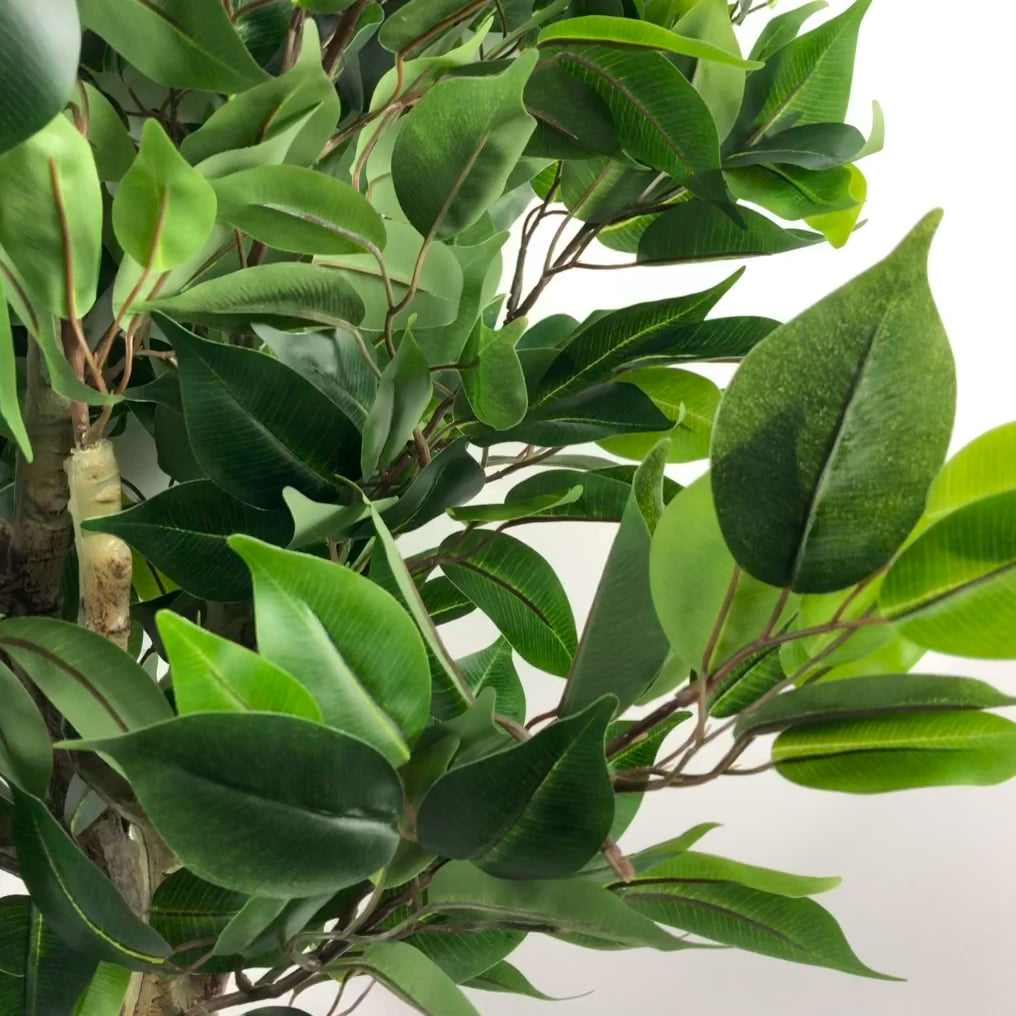 110cm Artificial Evergreen Ficus Tree