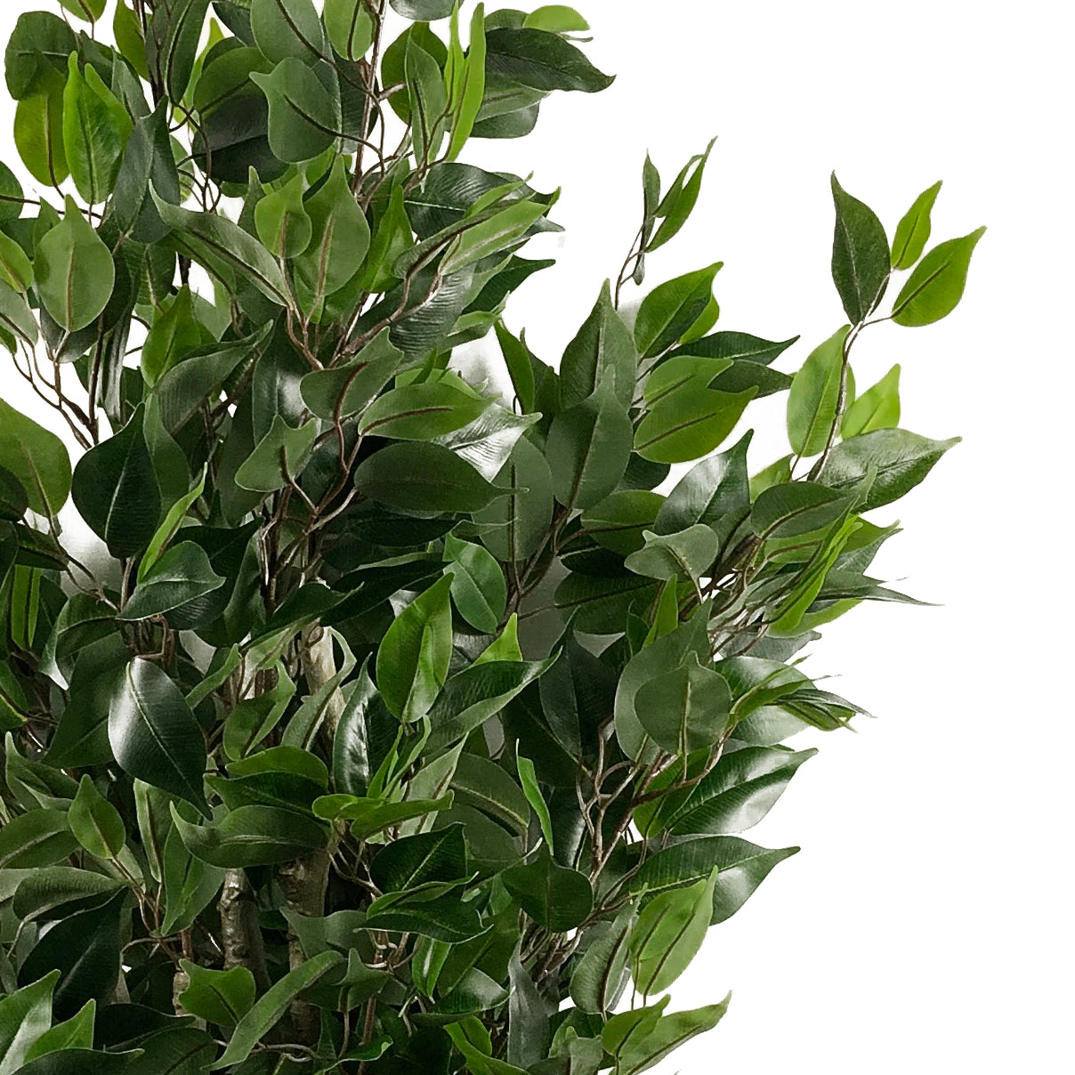 110cm Artificial Evergreen Ficus Tree