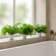 Pack of 3 x 30cm Artificial Ferns - Southern Wood - Lady and Royal - Potted