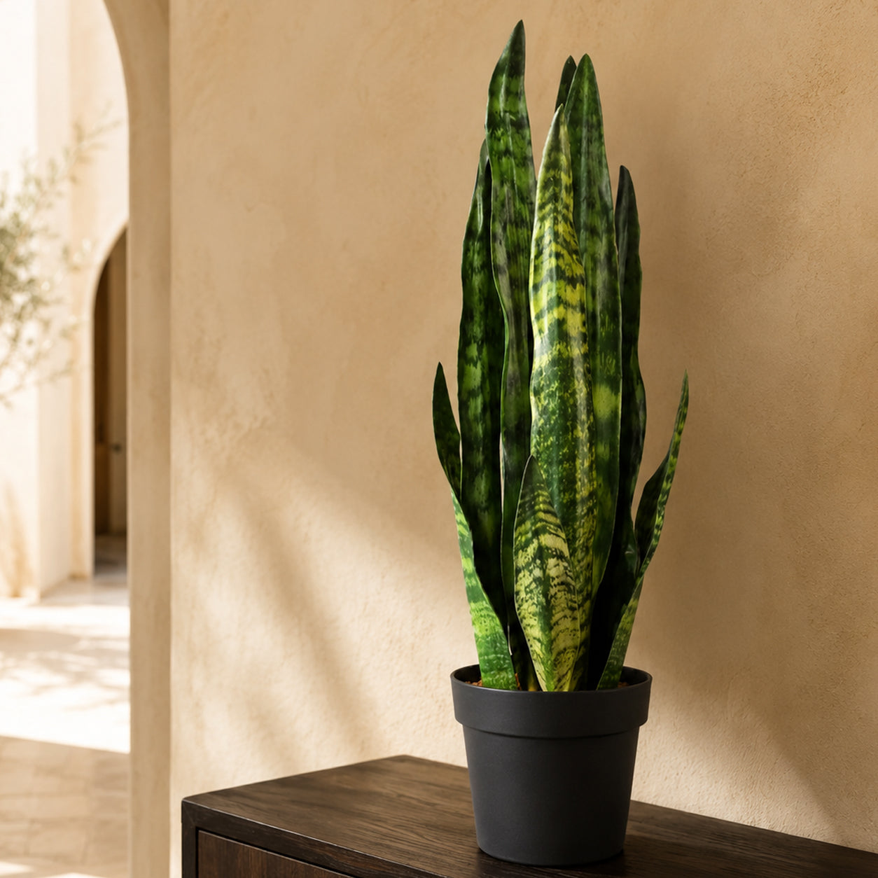 70cm Artificial Sansevieria Zeylanica Plant