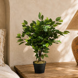 60cm Artificial Ficus Tree / Plant - Large Bushy Shape