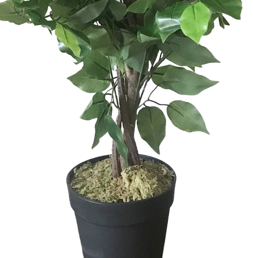 60cm Artificial Ficus Tree / Plant - Large Bushy Shape
