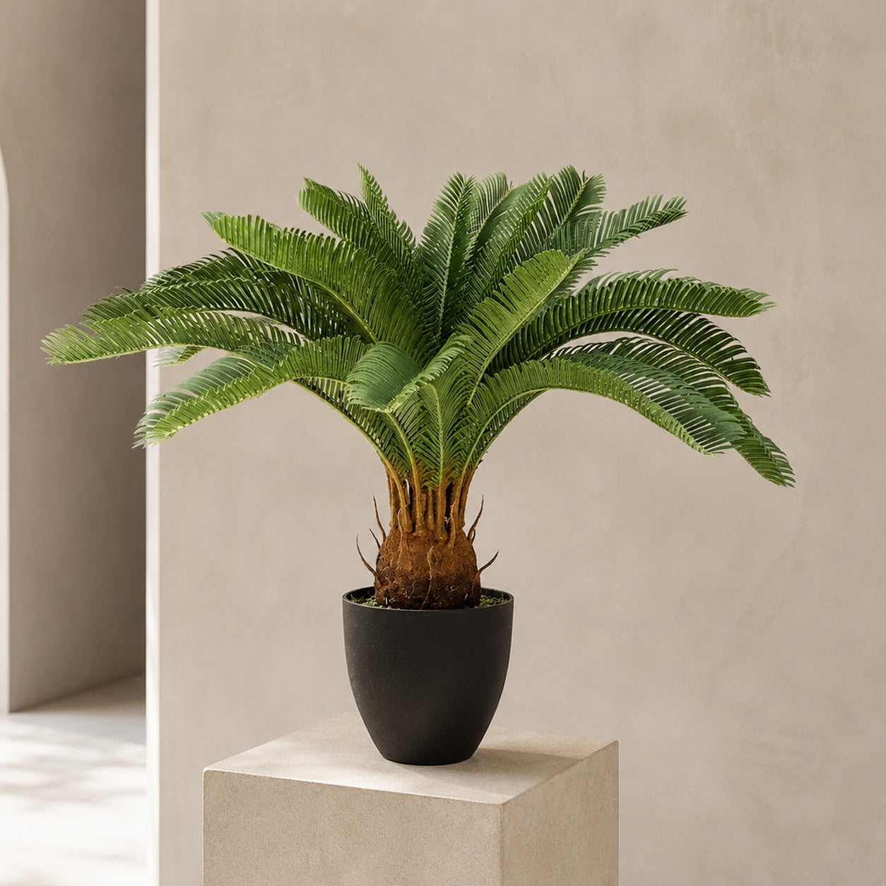70 cm künstliche tropische Cycas-Palmenpflanze
