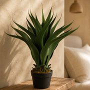 55cm Artificial Yucca Plant