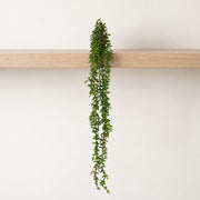 58cm Artificial Hanging Trailing Climbing Fig Plant Ficus Pumila