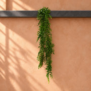 100cm Hanging Artificial String of Pearls Fern Plant Dark Green