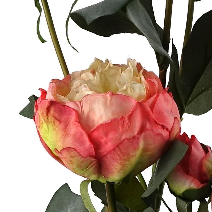 55cm Peony Artificial Flower Stems - 4 flowers 3 buds