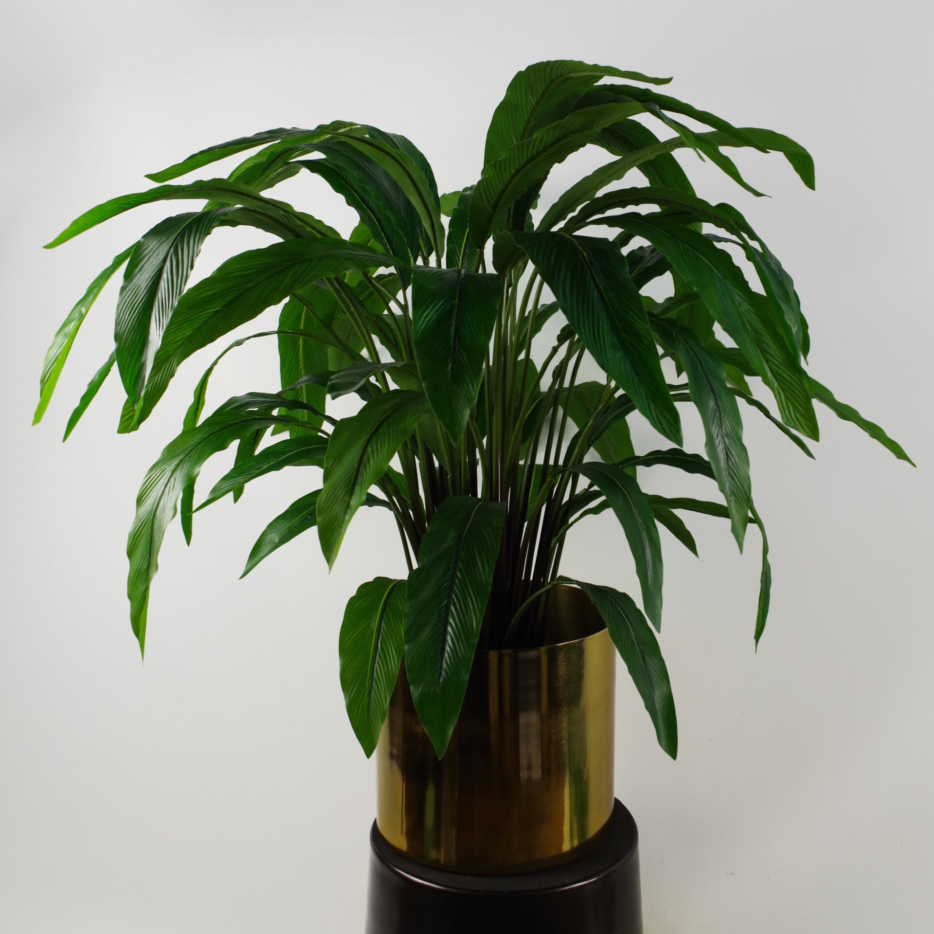 60cm Artificial Calathea Evergreen Plant