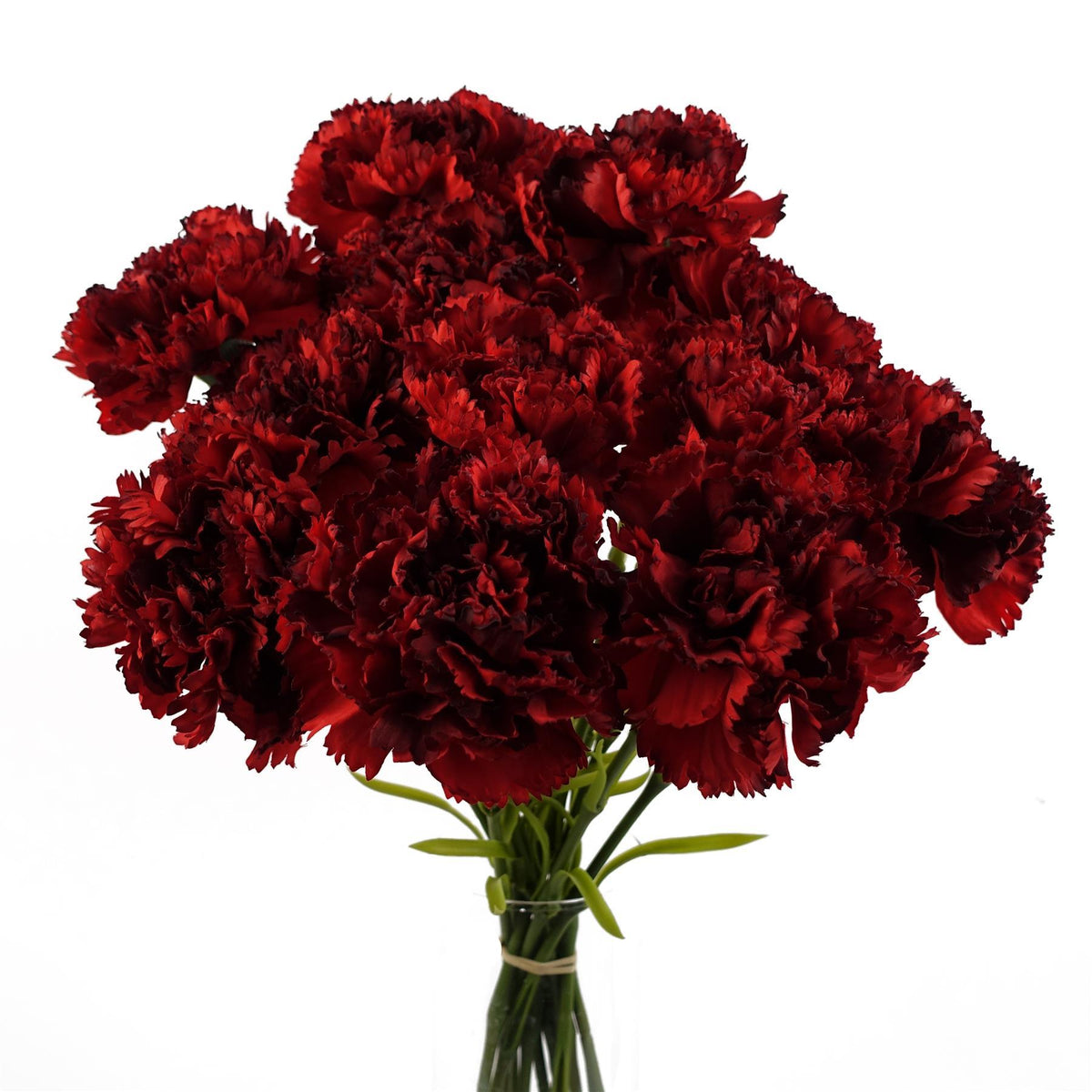 57cm Artificial Carnation Flower Stem