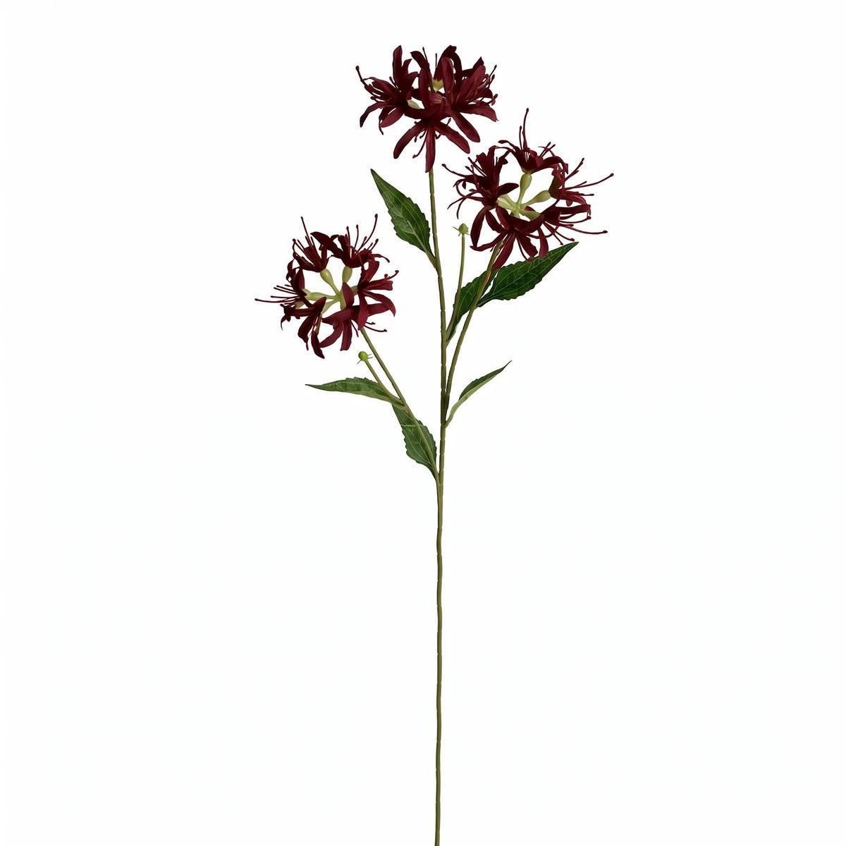 72cm Artificial Spider Lily Flower Stem