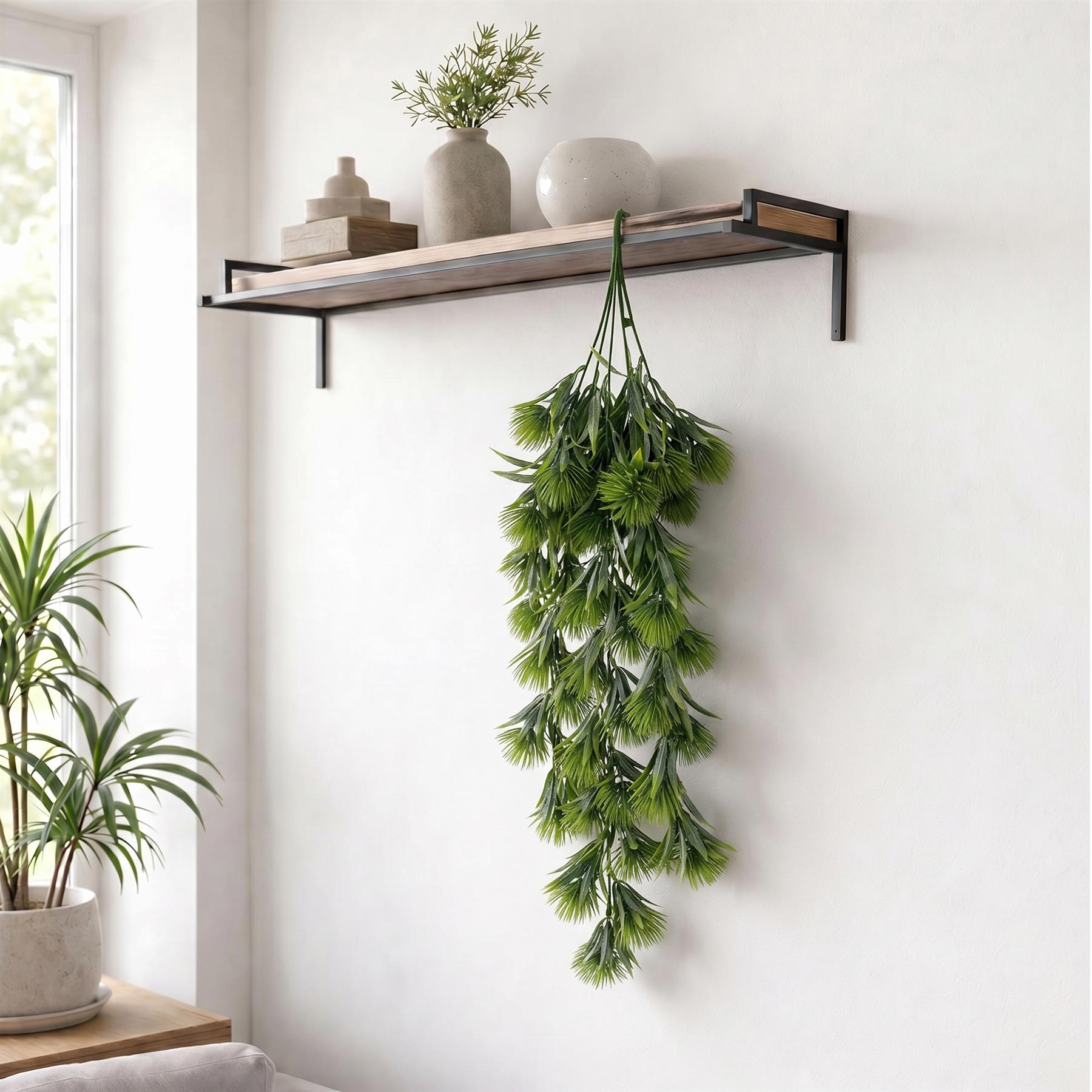 Green thistle trailing hanging plant