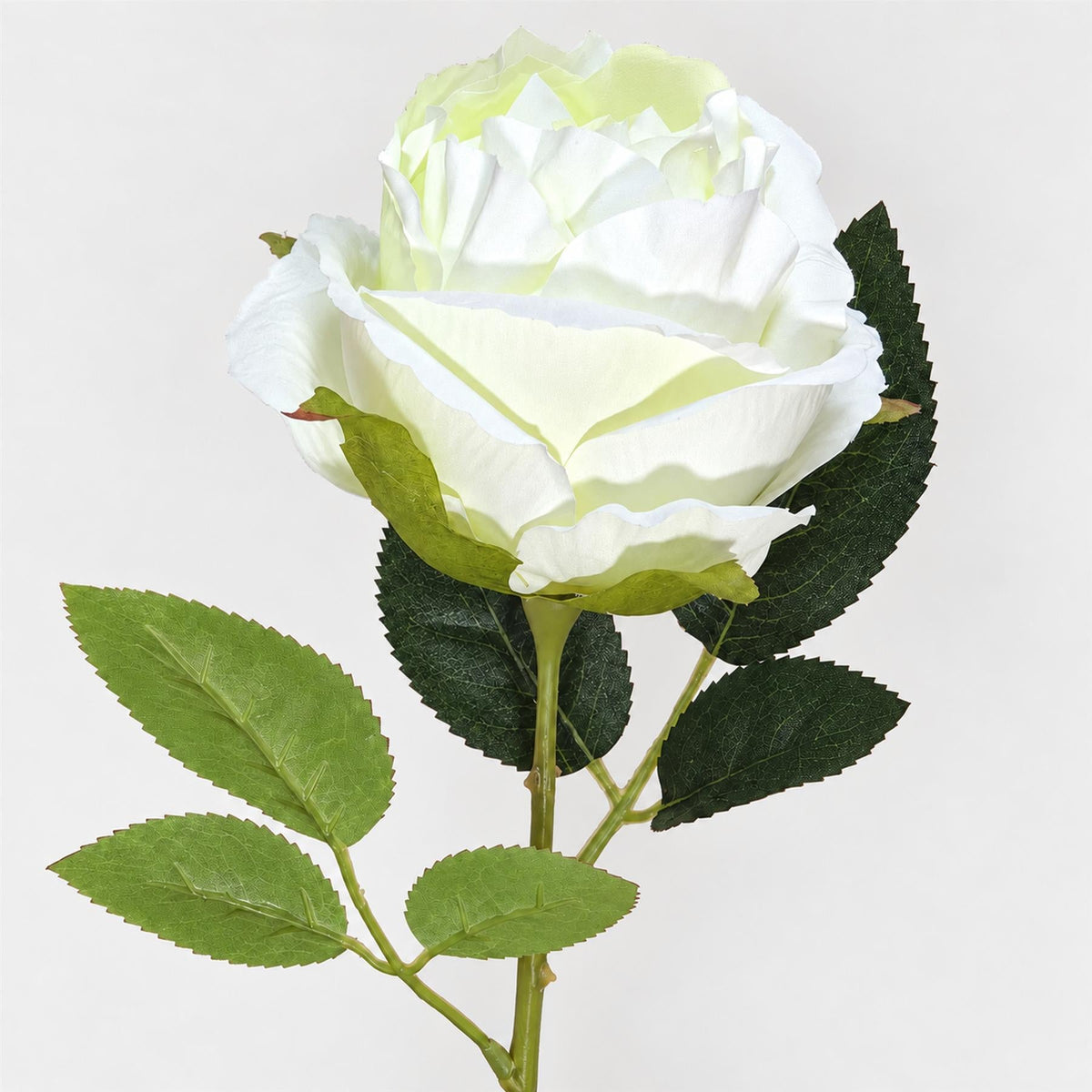 55cm Artificial Rose Stem – image 3