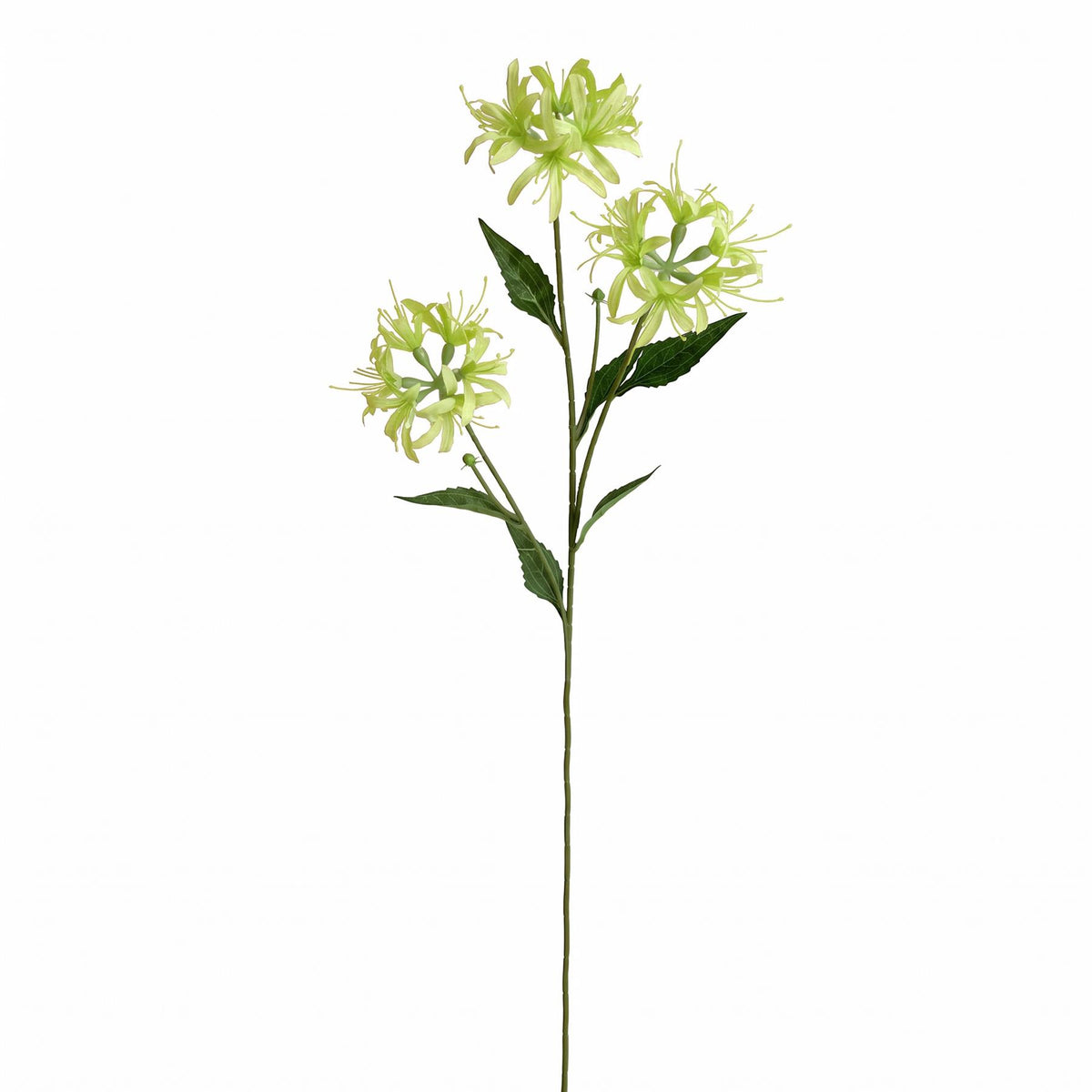 72cm Artificial Spider Lily Flower Stem
