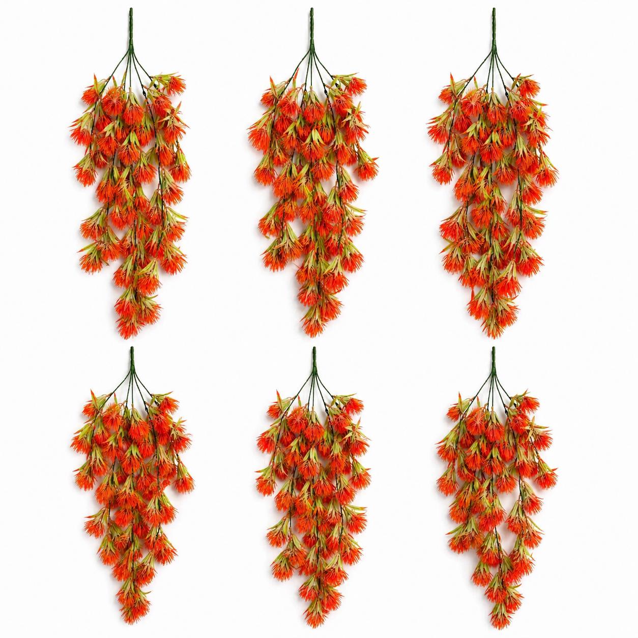 Red thistle trailing hanging plant - Pack of 6