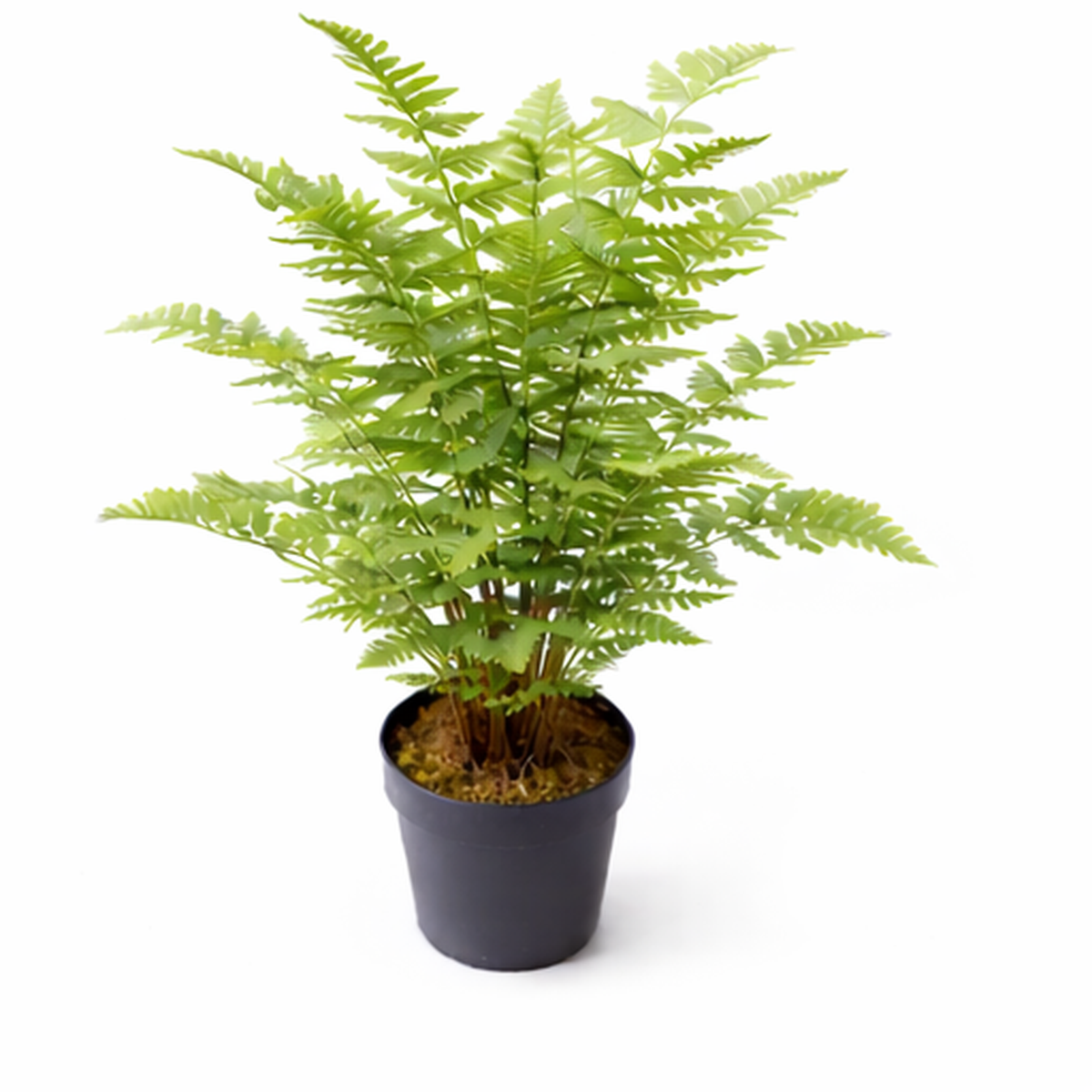 75cm Artificial Fern Plant