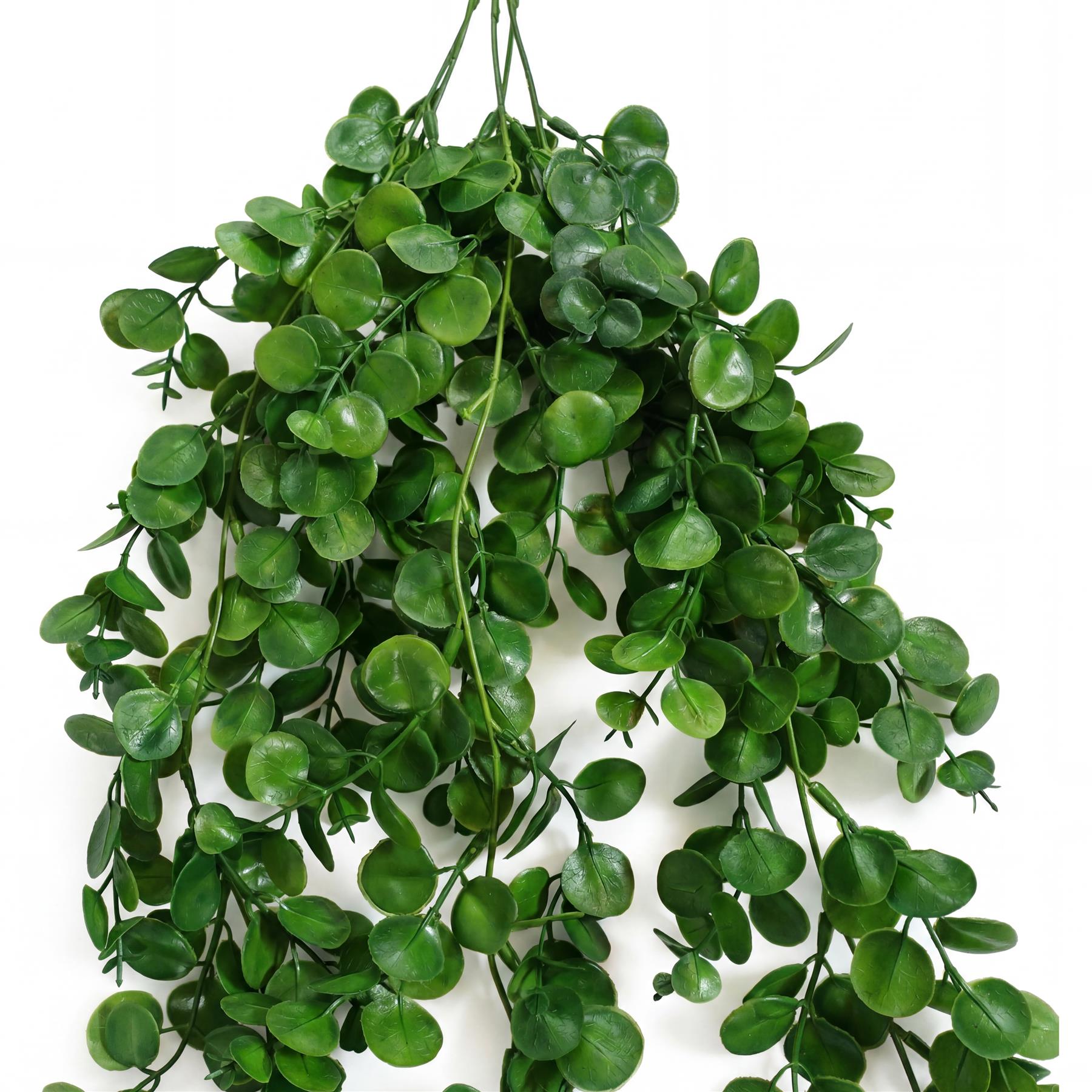 75cm Artificial Trailing Round Leaf Hanging Foliage Plant - Deep Forest Green