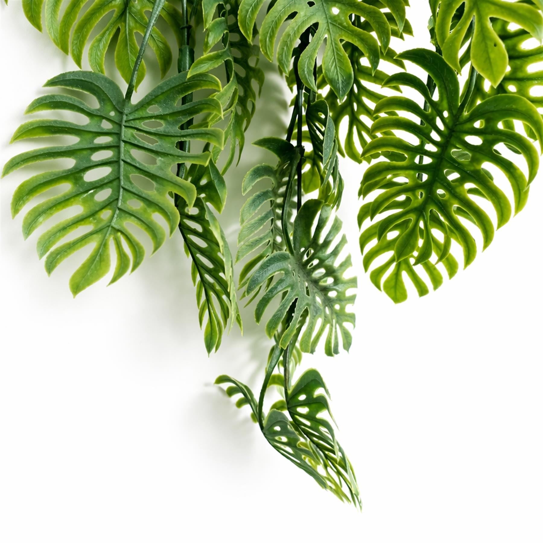 80cm künstliche Hängepflanze, tropische Monstera – Salbeigrün