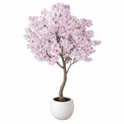 XXL Cherry Blossom Tree 2.6m (260cm) With Decorative Planter