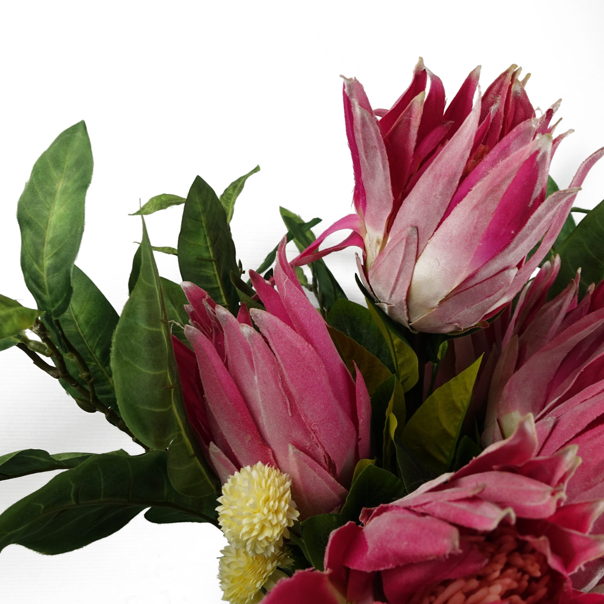65cm Artificial Protea Sugarbush Flower Stem