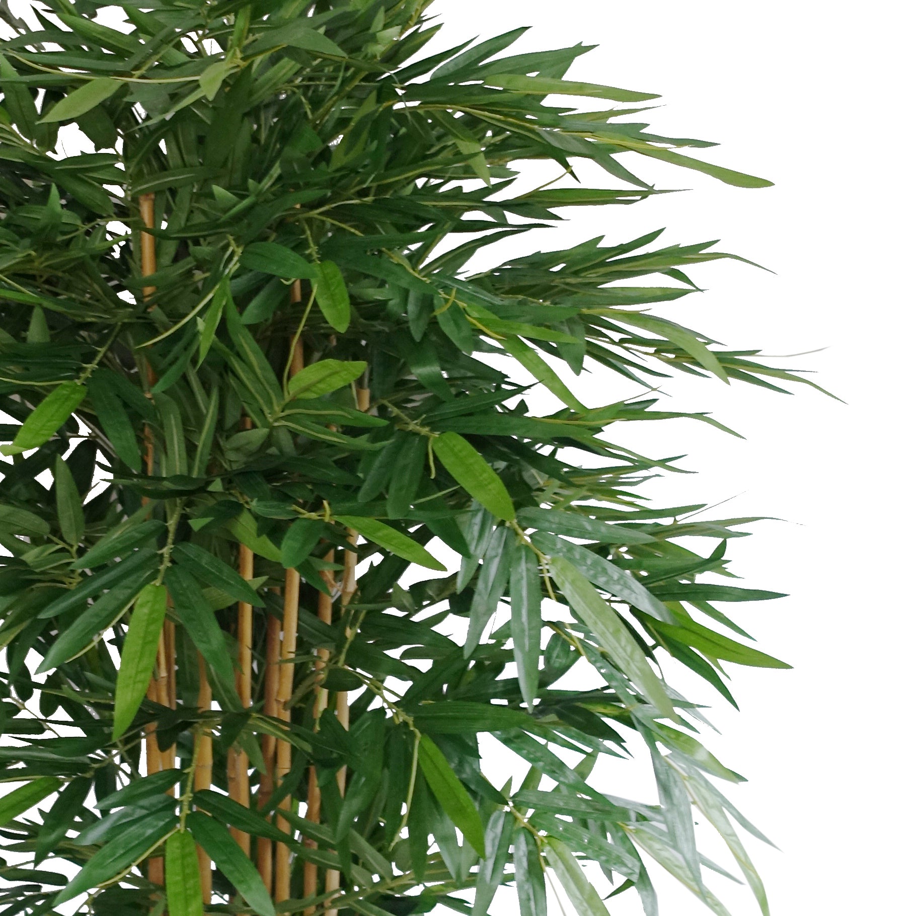 180cm Premium UV Resistant Bamboo