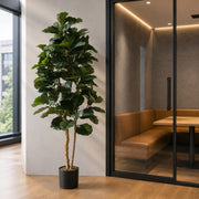 180cm Artificial Fiddle Fig Deluxe Tree