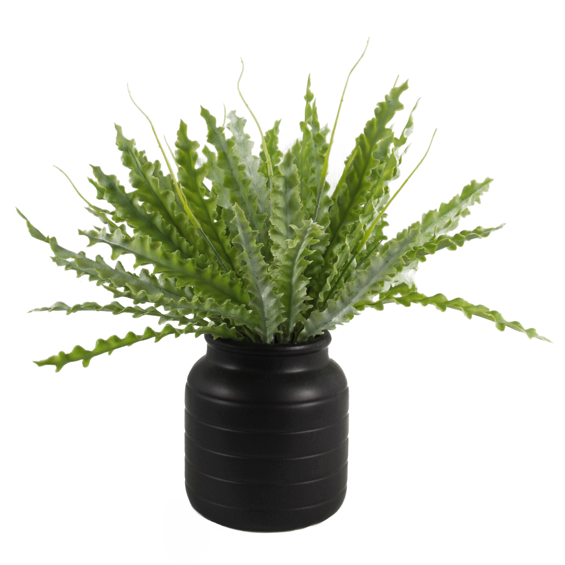 Black Vase Planter 13 x 13 x 14cm