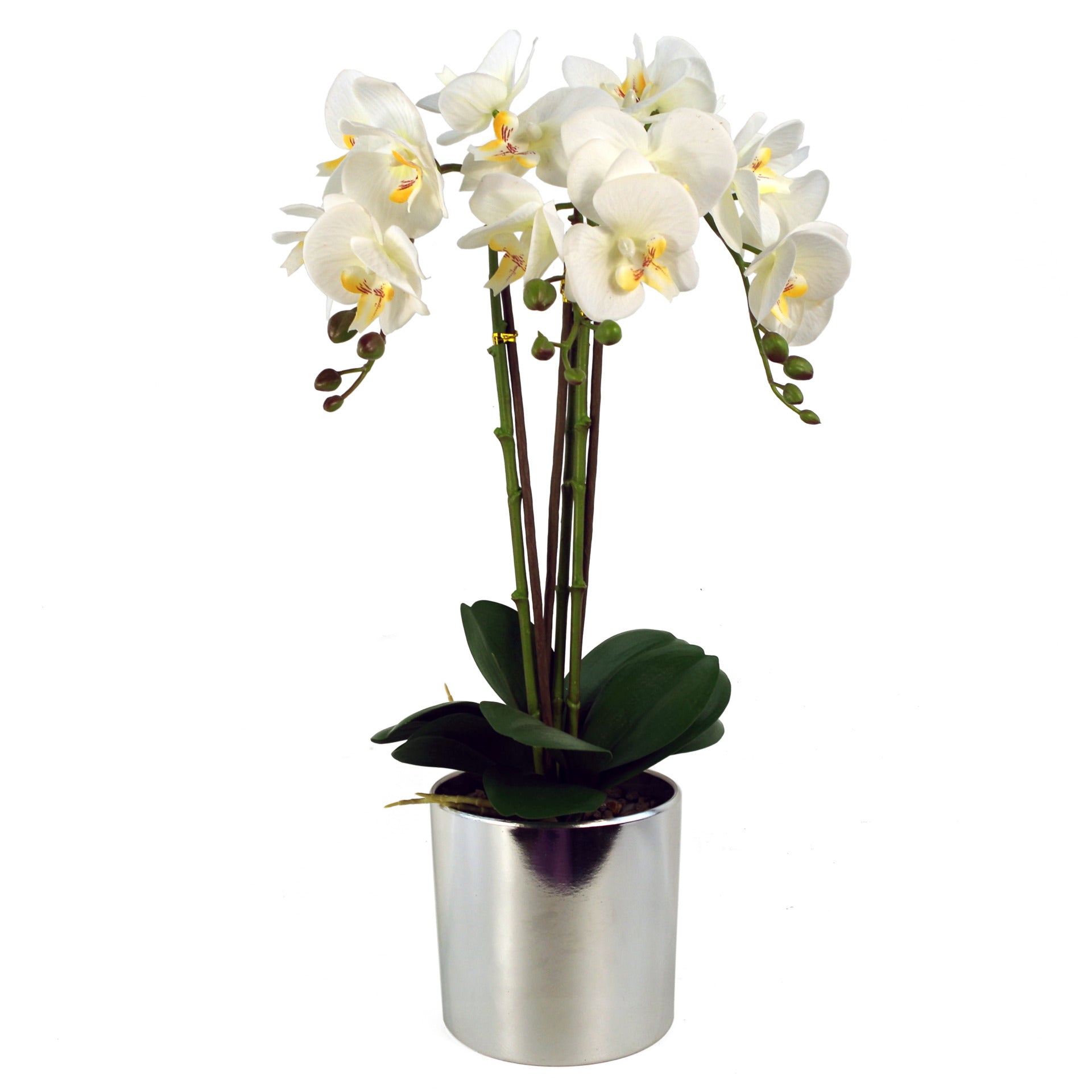 52cm Artificial Orchid Large -White / Silver