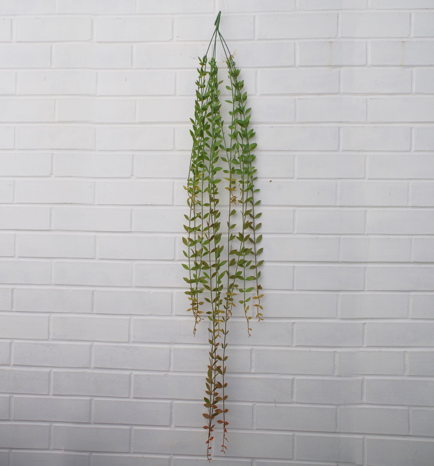 120cm Artificial Hanging String of Pearls Trailing Plant