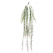 120cm Artificial Hanging String of Pearls Trailing Plant