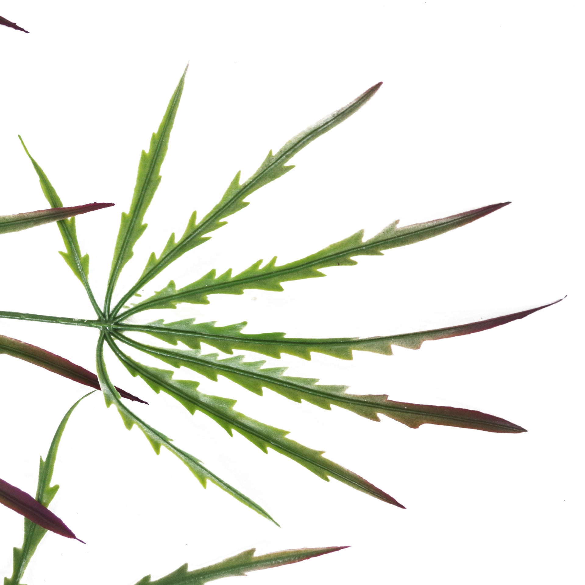 100cm Artificial Hanging Acer Trailing Foliage Plant