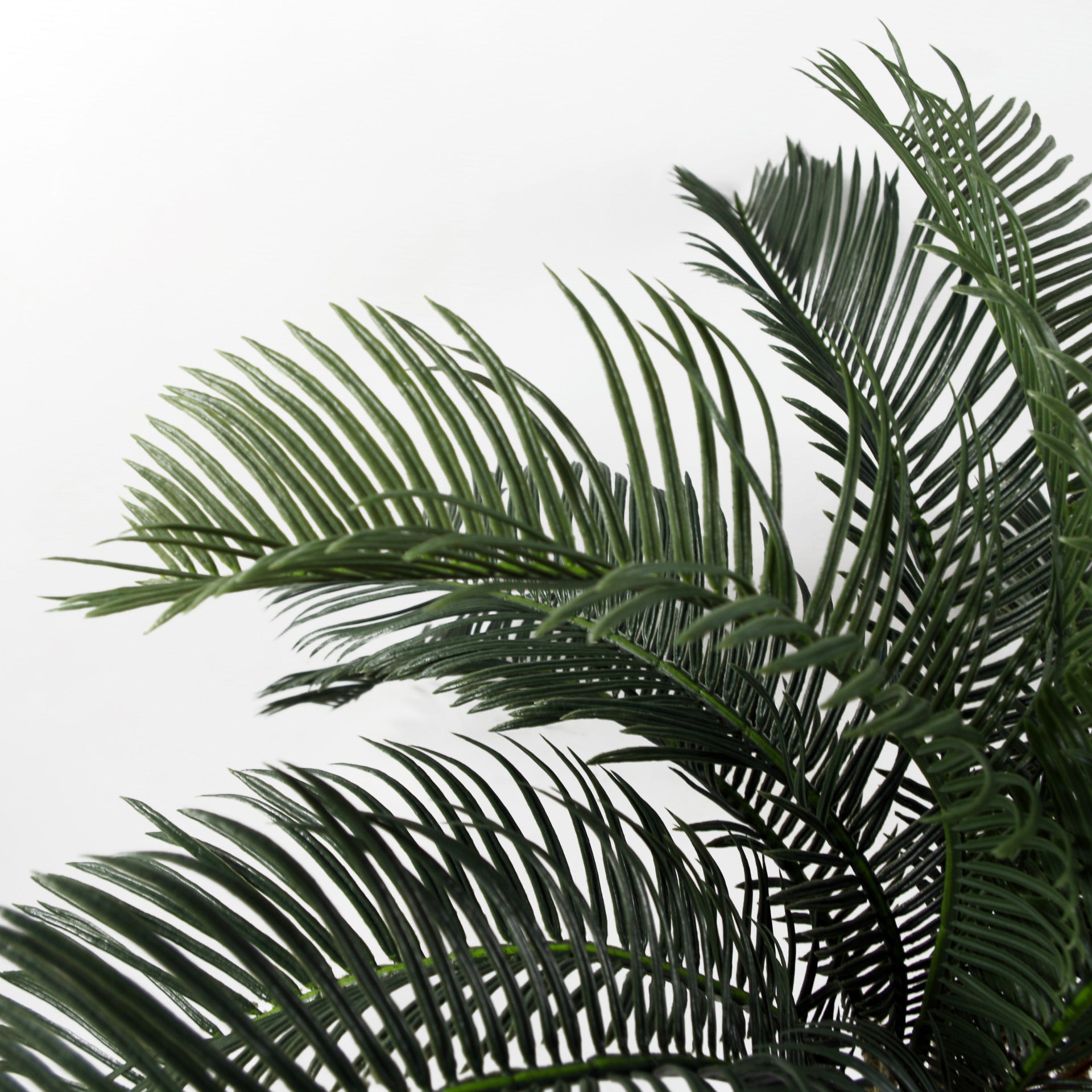 Artificial Tropical Cycas Palm Plant