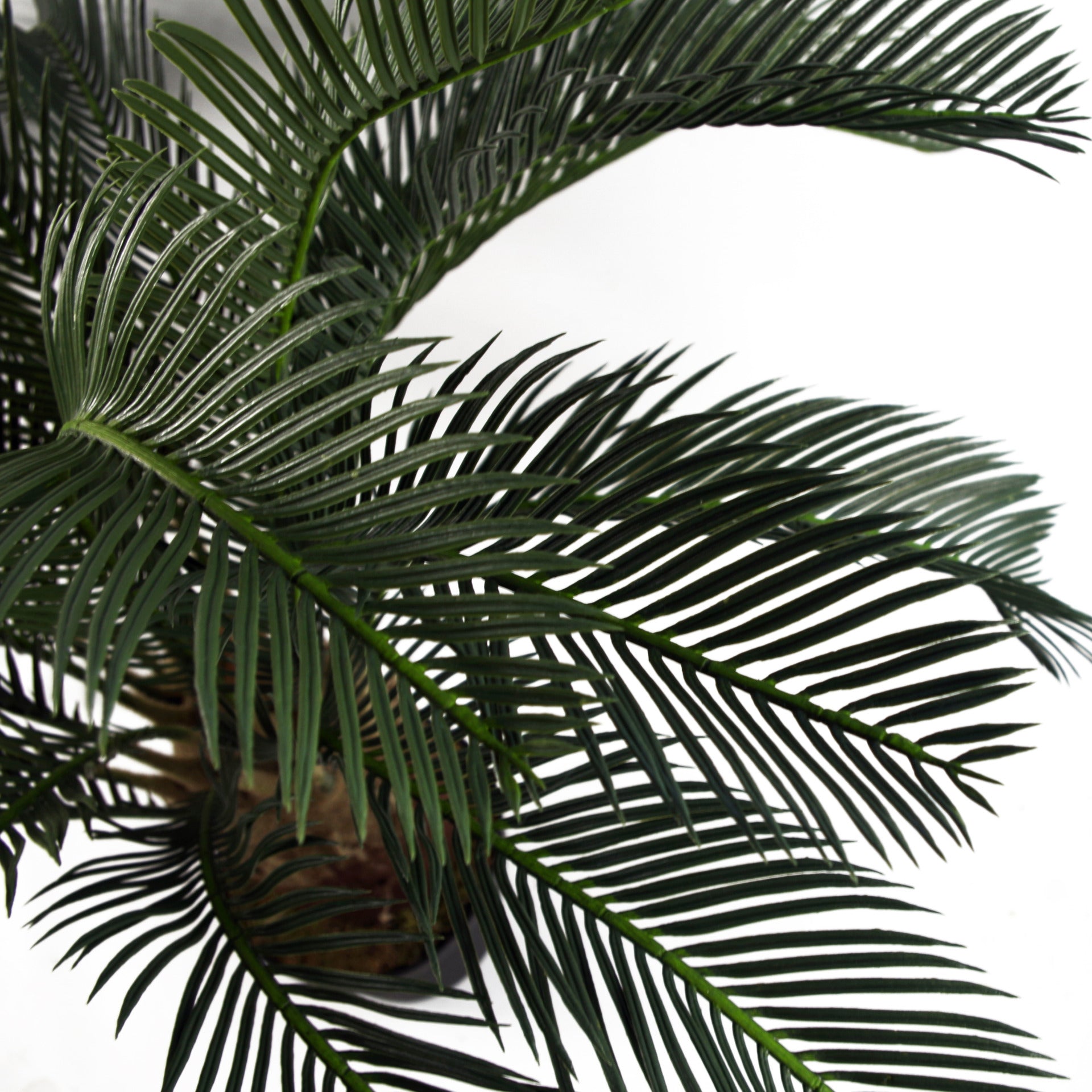 Artificial Tropical Cycas Palm Plant