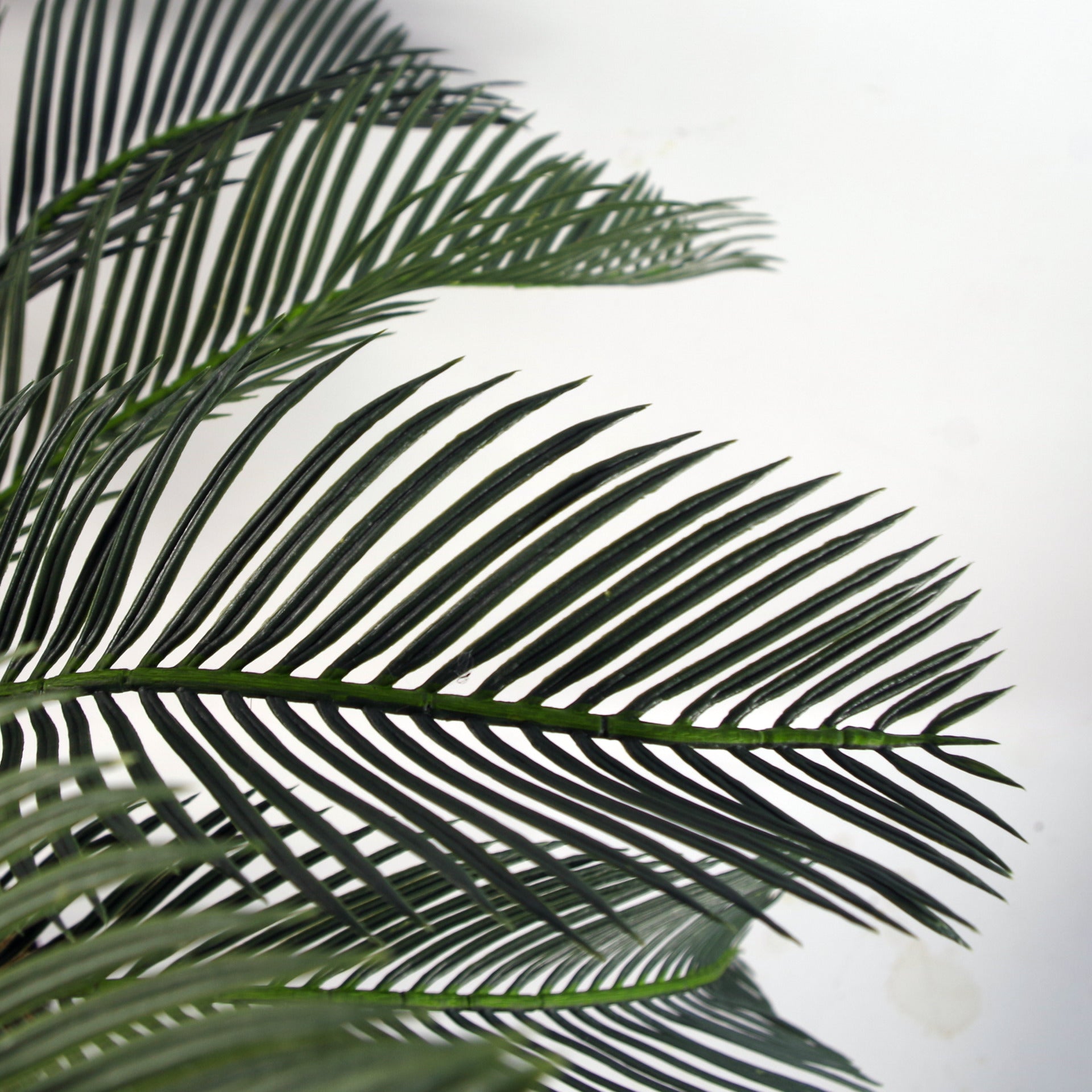 Artificial Tropical Cycas Palm Plant