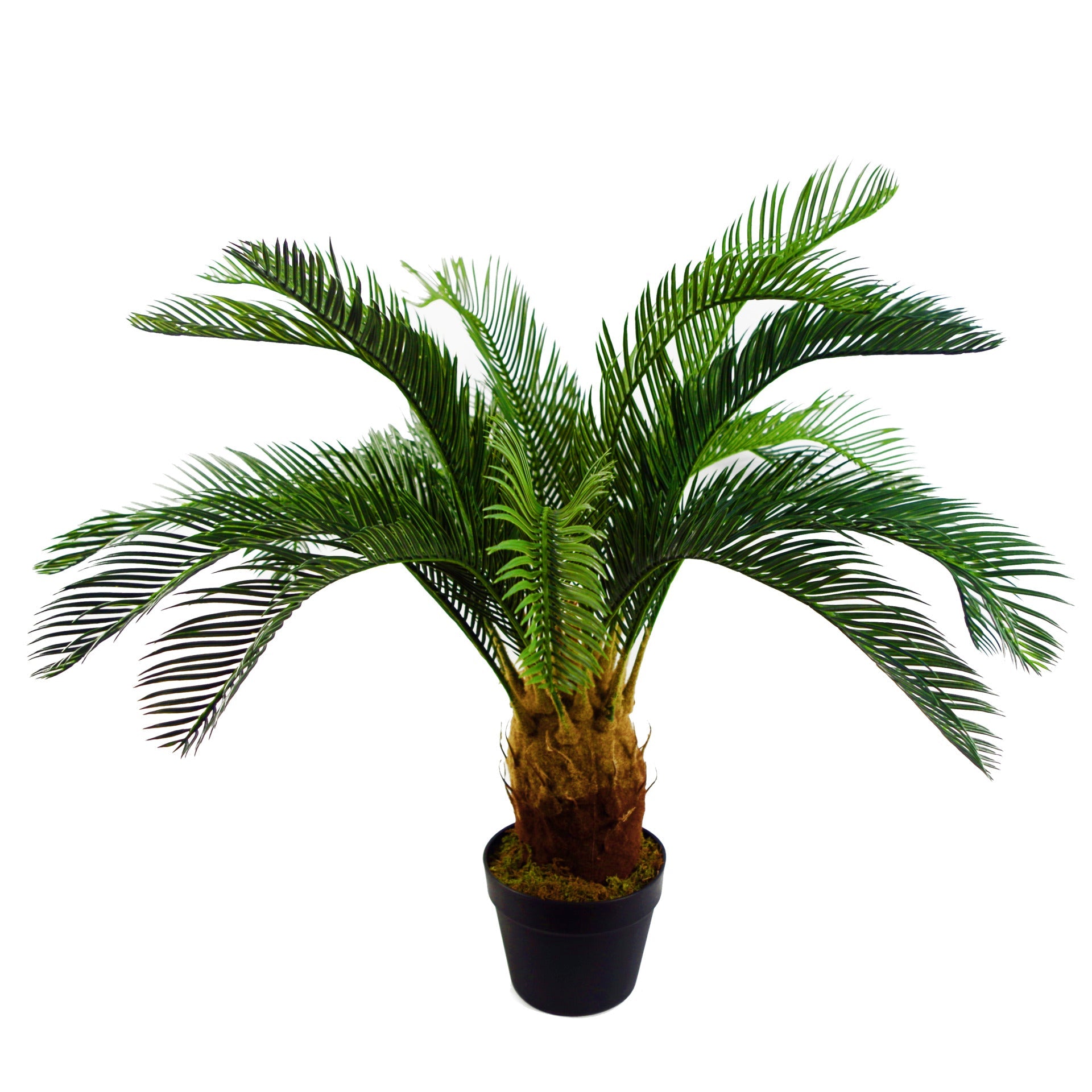 Artificial Tropical Cycas Palm Plant