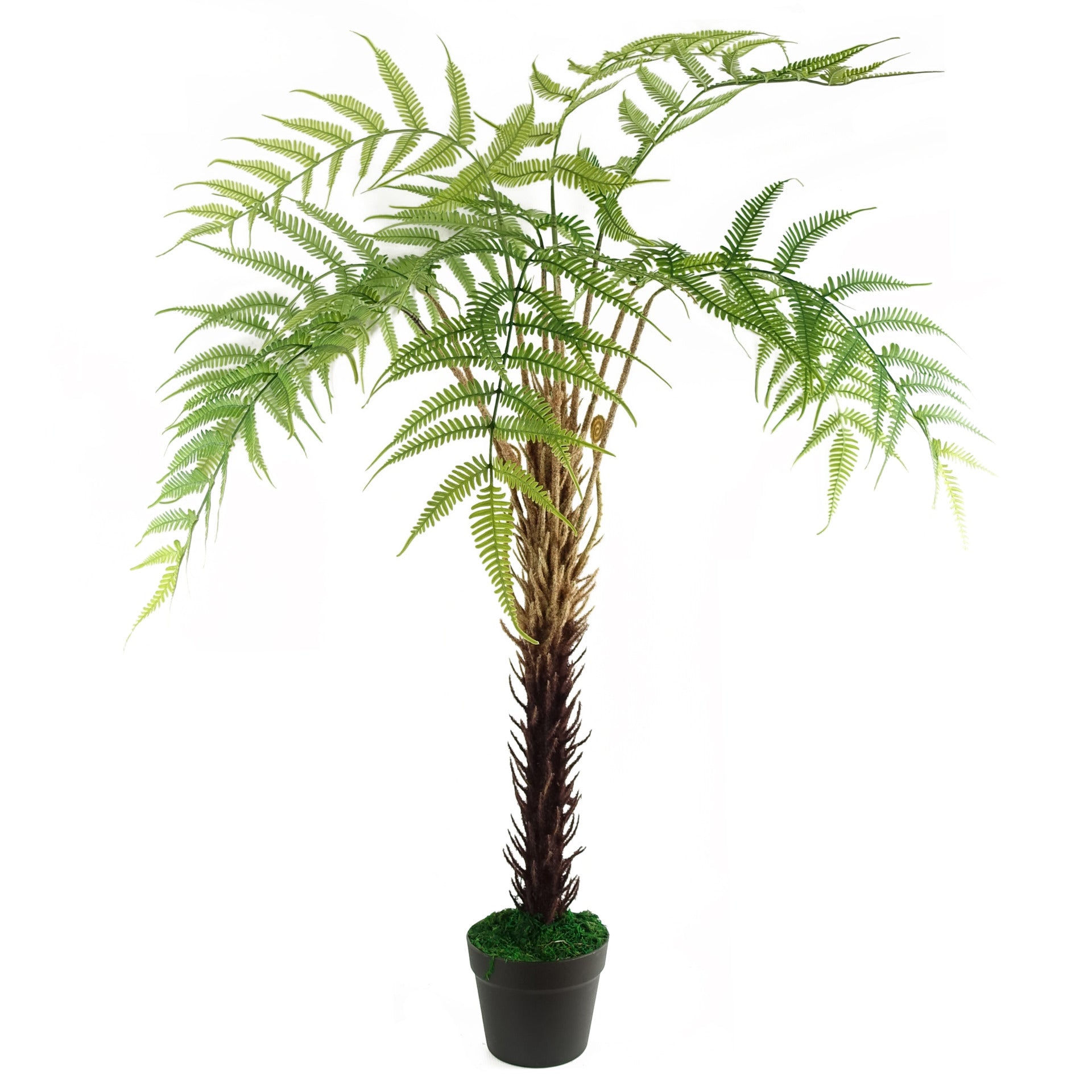 120cm Artificial Fern Tree