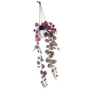 90cm Artificial Potted Hanging Trailing Plant - String of Hearts
