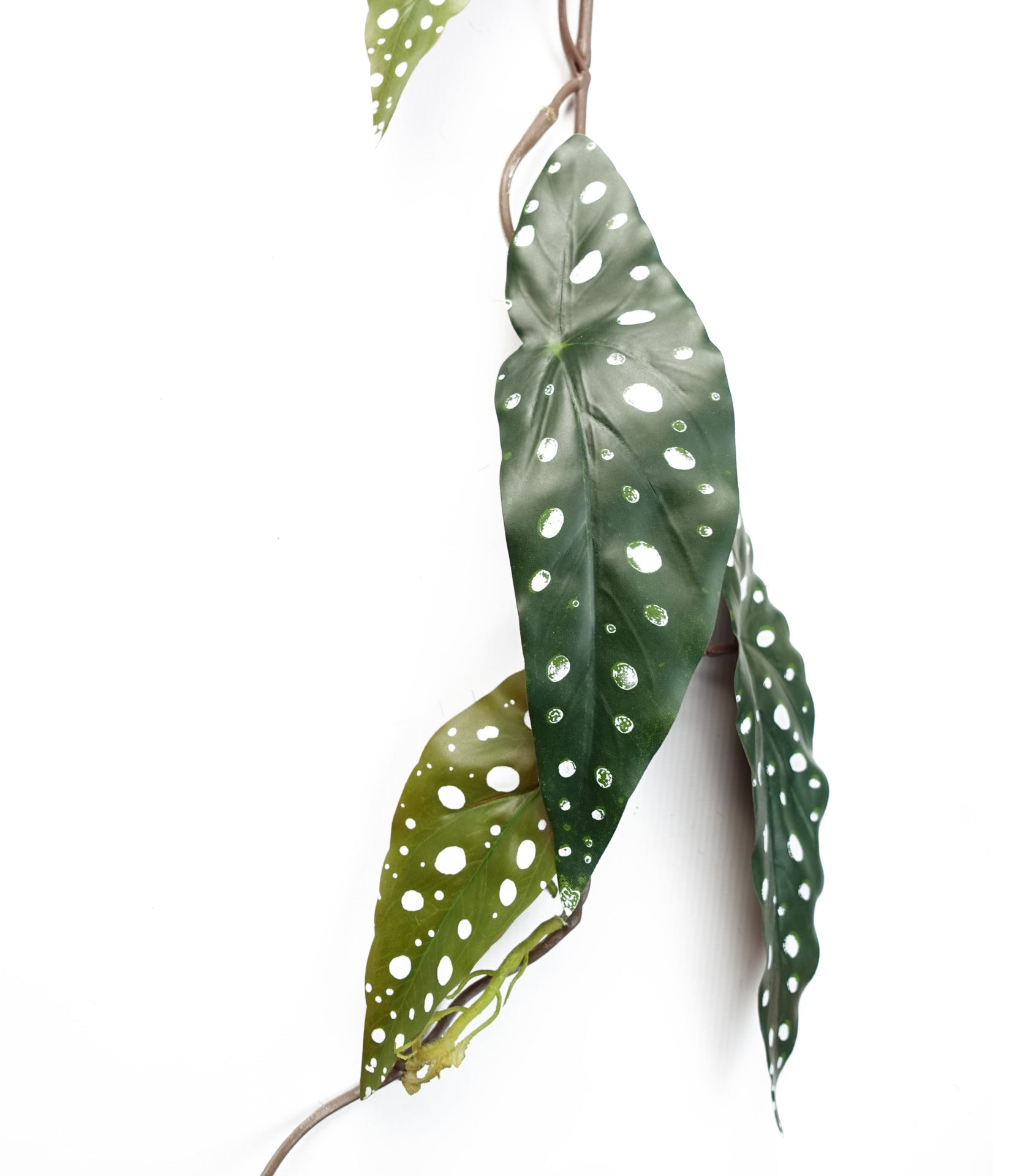 110cm Artificial Hanging Trailing Begonia Maculata Spotted Plant