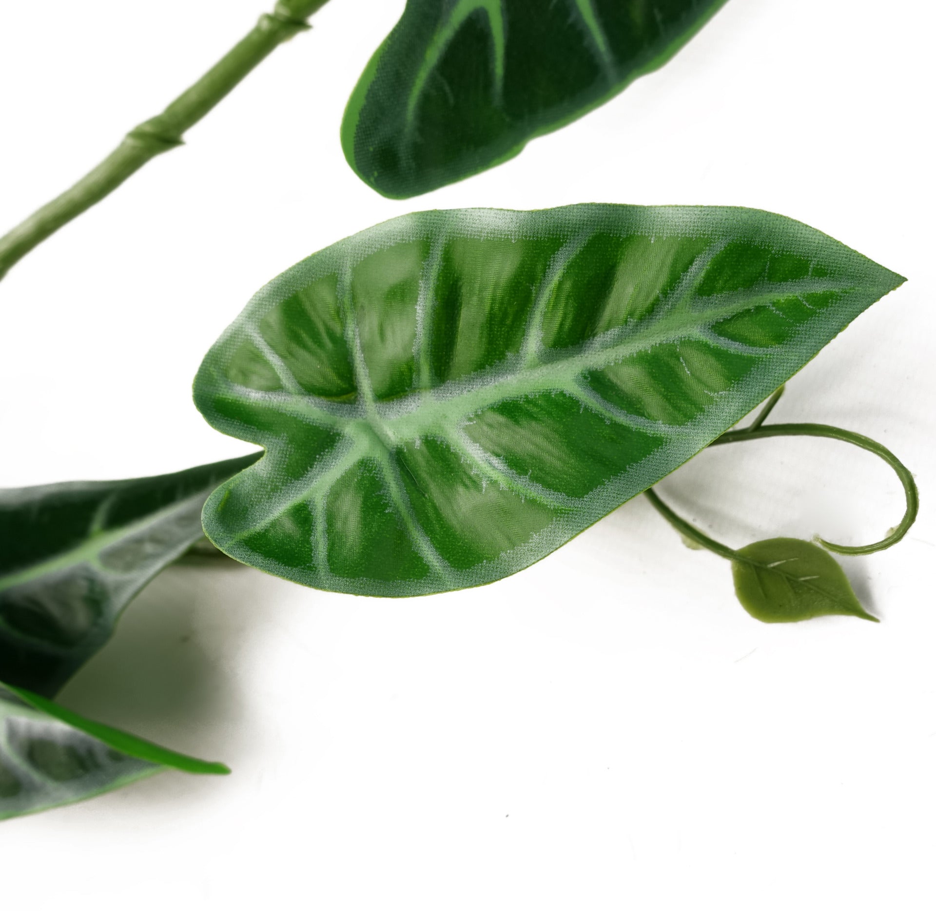 180cm Artificial Hanging Trailing Amazonica Plant