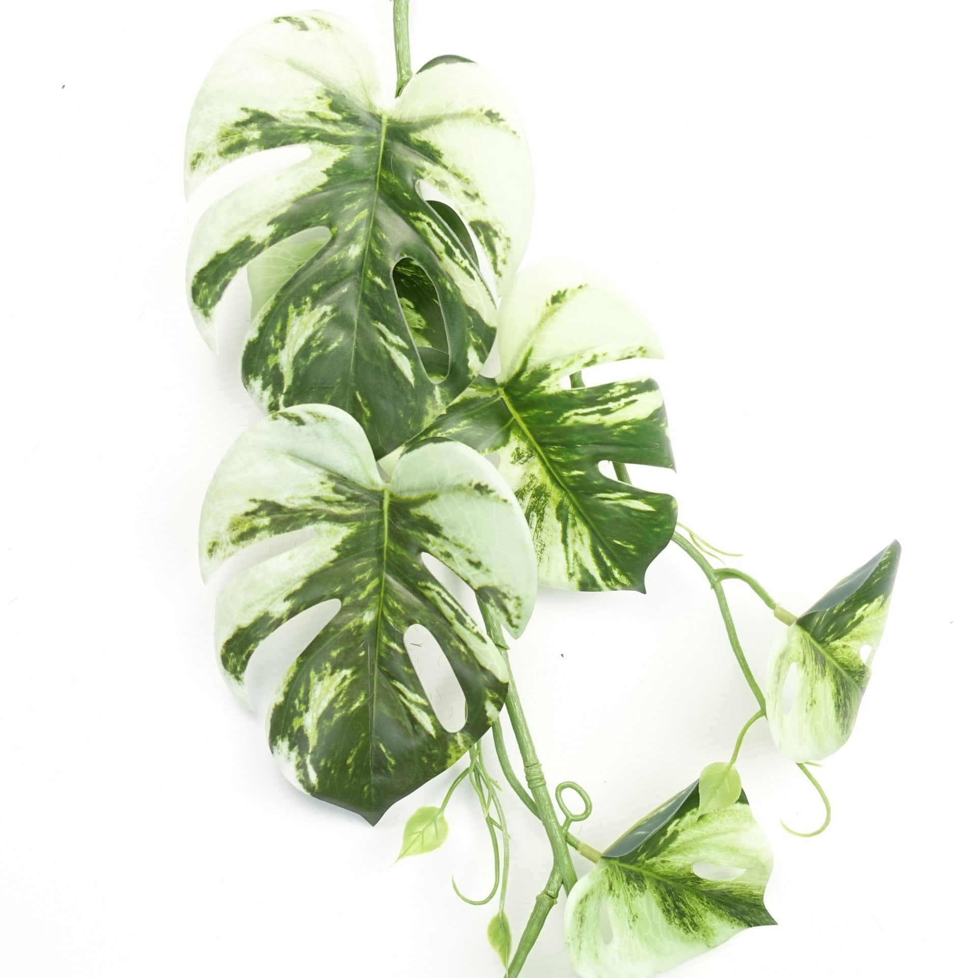 180cm Artificial Hanging Trailing Variegated Monstera Plant